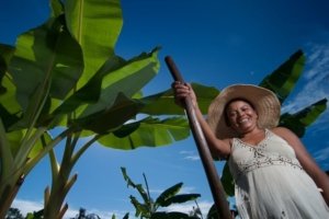 salario maternidade rural